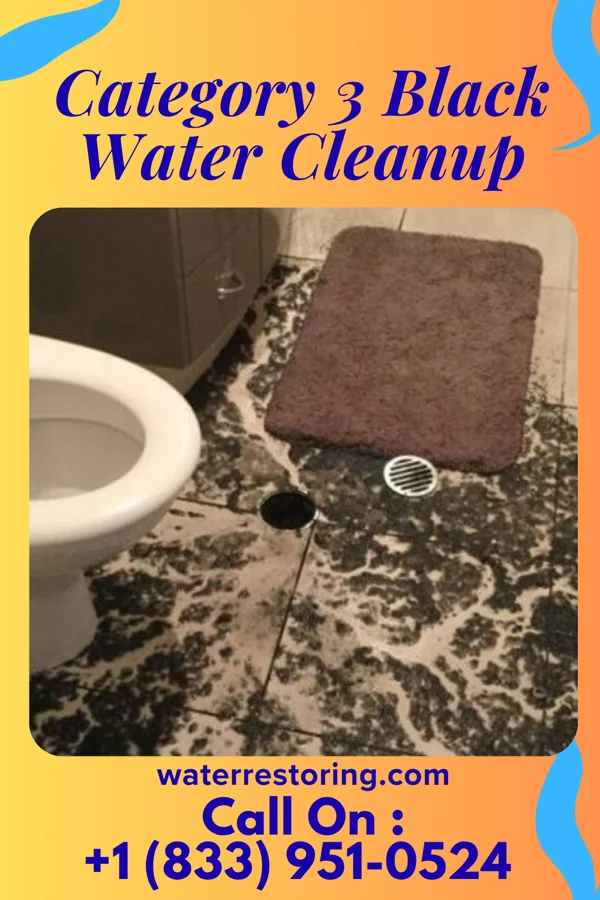 Category 3 Black Water Cleanup in Maricopa, CA
